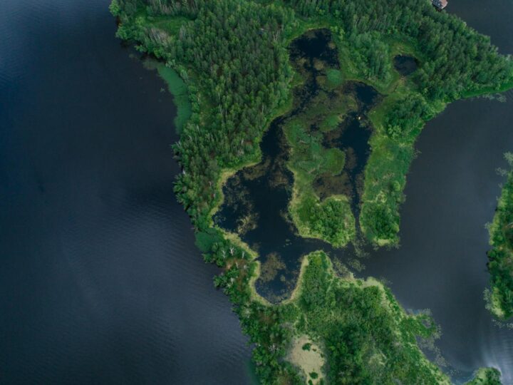 Planeta Ocano Mundial